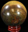 Polished Tigers Eye Sphere #37685-2